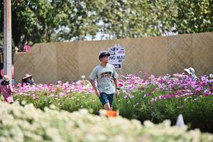 BIB: 
                            <button type="button" onclick="openModal(27795487)" class="btn btn-primary btn-sm float-right btn-popup" data-toggle="modal" data-target=".modal-high-quality">
                        <i class="fas fa-shopping-cart"></i> Add to Cart
                    </button>
                                            <button type="button" onclick="isThisMe(27795487, true)" class="btn btn-success btn-sm float-right btn-popup btn-isme hidden" data-toggle="tooltip" data-placement="bottom" title="นี่คือรูปของคุณใช่ไหม คลิกที่นี่เพื่อเอาเข้าอัลบั้ม">
                        <i class="fas fa-plus"></i> Add to album
                    </button>
                    <button type="button" onclick="isThisMe(27795487, false)" class="btn btn-warning btn-sm float-right btn-popup btn-isnotme hidden">
                        <i class="fas fa-ban"></i> Remove from album
                    </button>